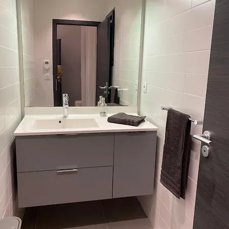 Maison Appart, Le Cocon Brindasien, 20 Min De Lyon, 66 M2 Brindas