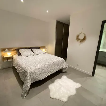 Maison Appart, Le Cocon Brindasien, 20 Min De Lyon, 66 M2